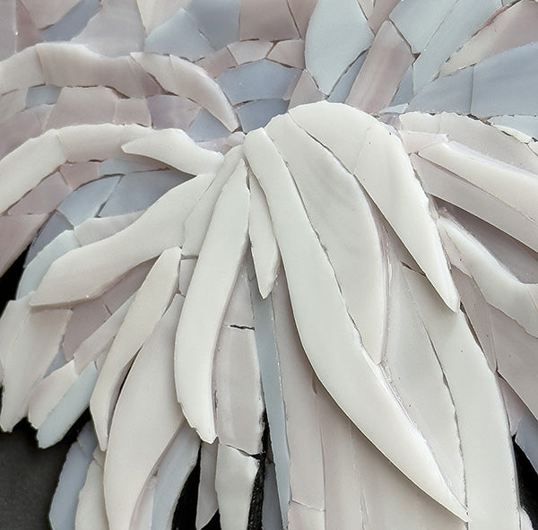 Close-up of &