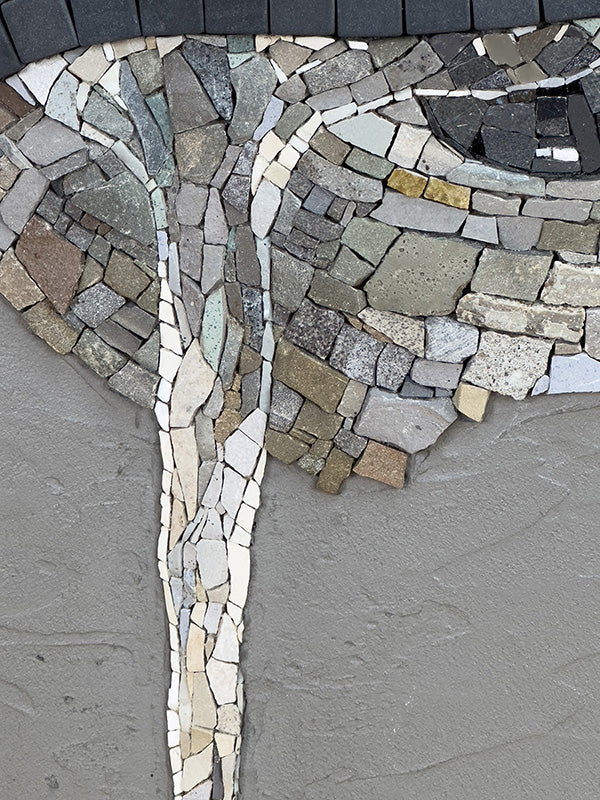 Close-up of &
