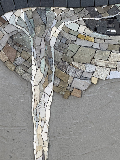 Close-up of &